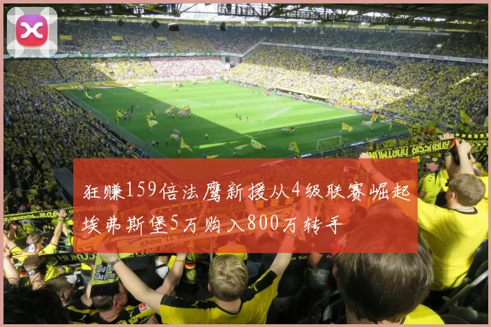 狂赚159倍法鹰新援从4级联赛崛起埃弗斯堡5万购入800万转手