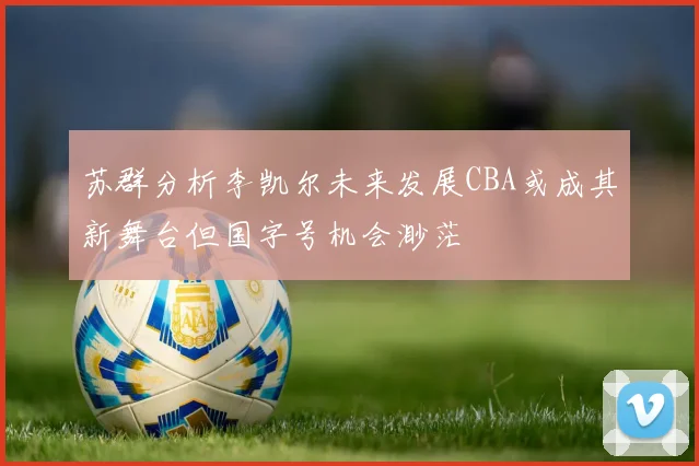 苏群分析李凯尔未来发展CBA或成其新舞台但国字号机会渺茫